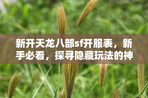 探寻隐藏玩法的神秘江湖天龙私服图片