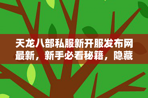 天龙八部私服新开服发布网最新图片