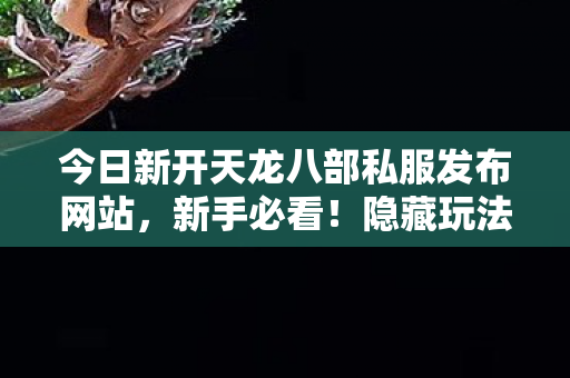 今日新开天龙八部私服发布网站图片