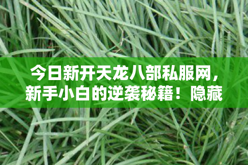 今日新开天龙八部私服网图片