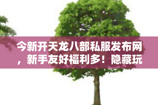 今新开天龙八部私服发布网图片