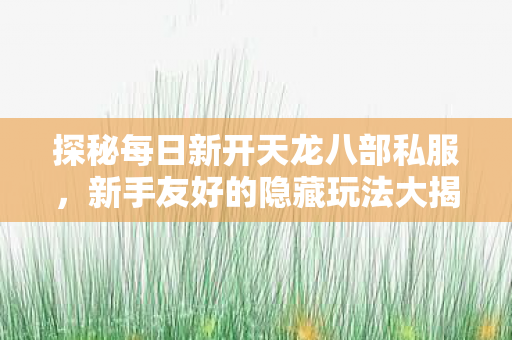 探秘每日新开天龙八部私服，新手友好的隐藏玩法大揭秘天龙私服