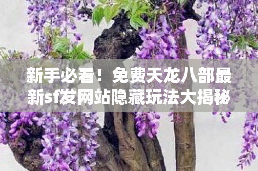 新手必看!免费天龙八部最新sf发网站隐藏玩法大揭秘天龙私服 新手必看!免费天龙八部最新sf发网站隐藏玩法大揭秘天龙私服