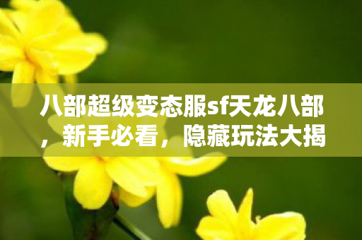 八部超级变态服sf天龙八部,新手必看,隐藏玩法大揭秘!天龙八部私服 八部超级变态服sf天龙八部,新手必看,隐藏玩法大揭秘!天龙八部私服