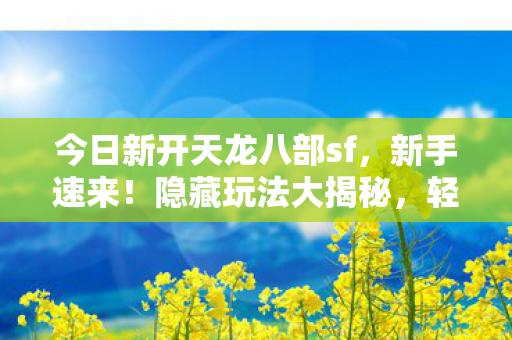 今日新开天龙八部sf，新手速来！隐藏玩法大揭秘，轻松畅玩不是梦！天龙私服