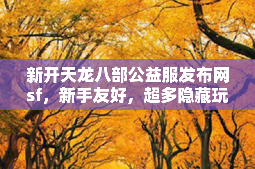 新开天龙八部公益服发布网sf，新手友好，超多隐藏玩法等你来探！天龙八部私服