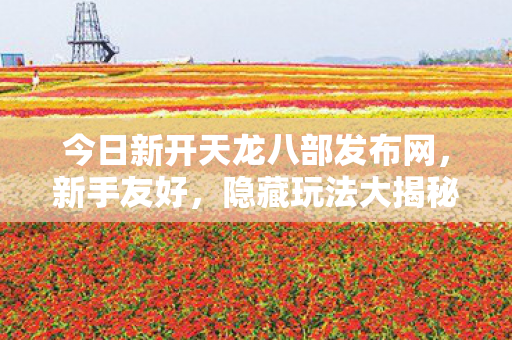 今日新开天龙八部发布网，新手友好，隐藏玩法大揭秘！天龙私服