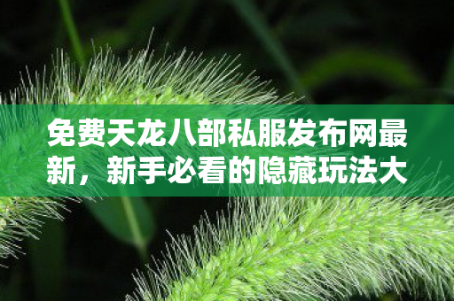 新手必看的隐藏玩法大揭秘天龙八部私服图片