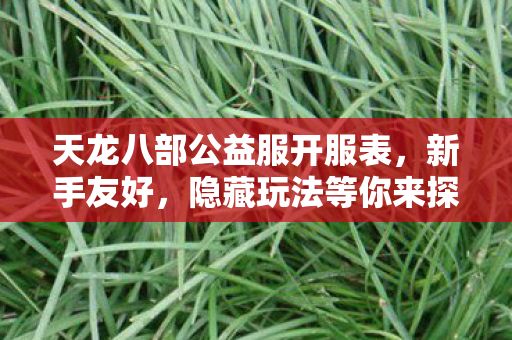 天龙八部公益服开服表图片