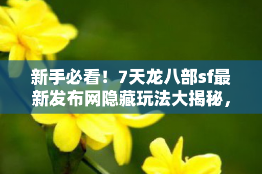 7天龙八部sf最新发布网隐藏玩法大揭秘图片