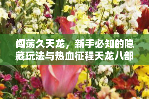 新手必知的隐藏玩法与热血征程天龙八部私服图片