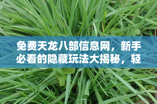 新手必看的隐藏玩法大揭秘图片