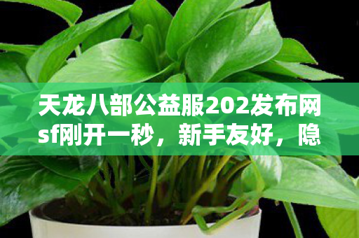 天龙八部公益服202发布网sf刚开一秒图片