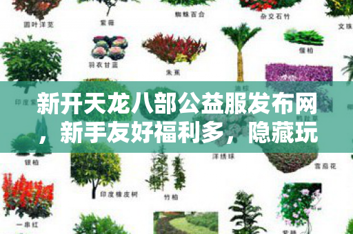 新开天龙八部公益服发布网图片