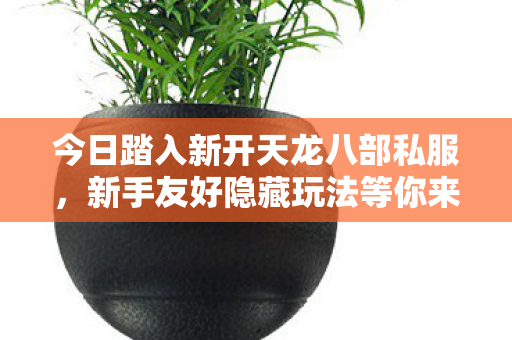 今日踏入新开天龙八部私服图片