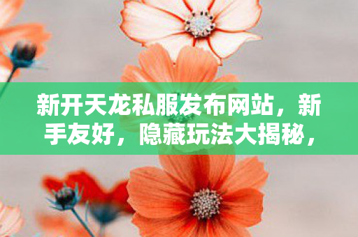 新开天龙私服发布网站图片