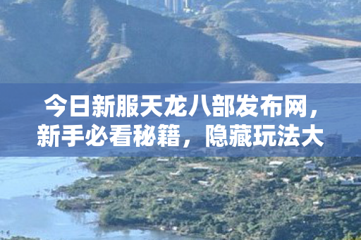 今日新服天龙八部发布网图片