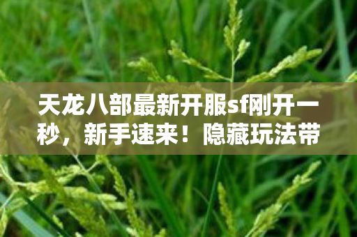 隐藏玩法带你畅玩江湖天龙八部私服图片