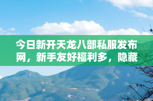 今日新开天龙八部私服发布网图片