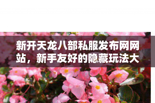 新开天龙八部私服发布网网站图片