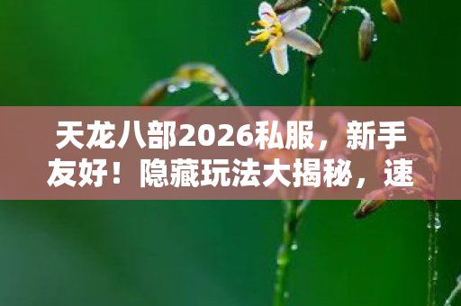 天龙八部2026私服图片