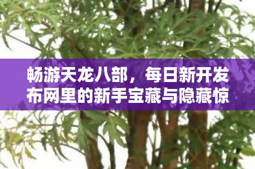 每日新开发布网里的新手宝藏与隐藏惊喜大揭秘天龙2026私服图片