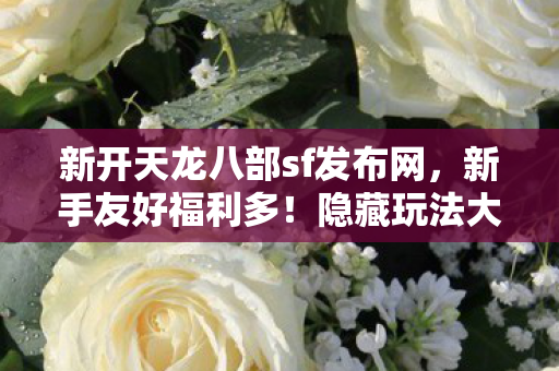 新开天龙八部sf发布网图片