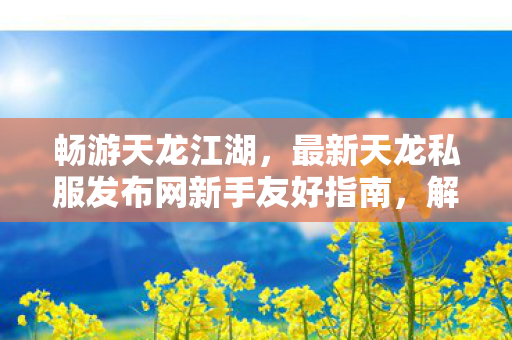 最新天龙私服发布网新手友好指南图片