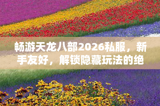 解锁隐藏玩法的绝佳之地天龙八部2026私服图片
