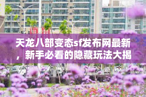 新手必看的隐藏玩法大揭秘天龙2026私服图片