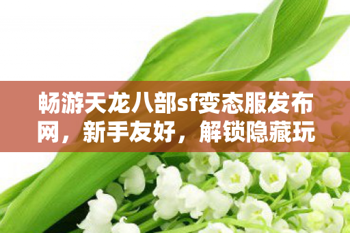 畅游天龙八部sf变态服发布网图片