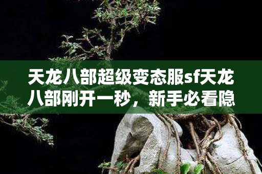天龙八部超级变态服sf天龙八部刚开一秒图片