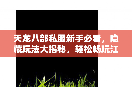 天龙八部私服新手必看图片