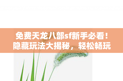免费天龙八部sf新手必看图片
