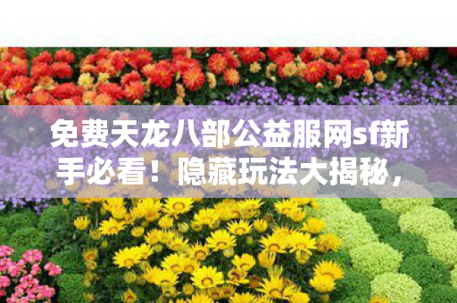 免费天龙八部公益服网sf新手必看图片