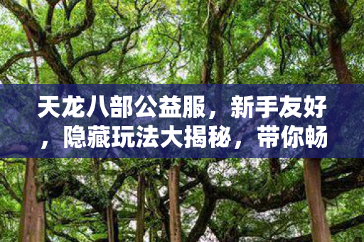 天龙八部公益服图片