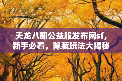 天龙八部公益服发布网sf图片