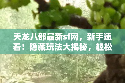 天龙八部最新sf网图片