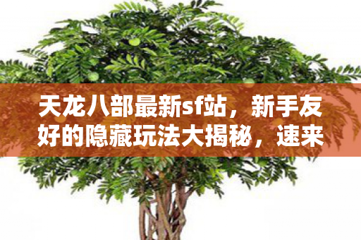 新手友好的隐藏玩法大揭秘图片