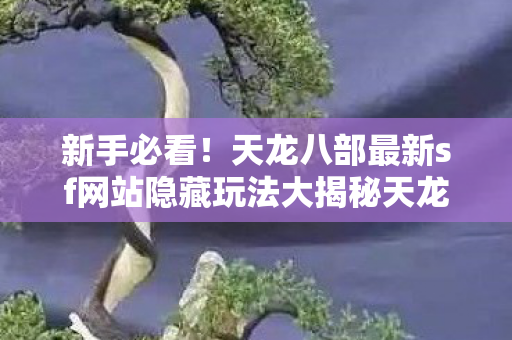 天龙八部最新sf网站隐藏玩法大揭秘天龙八部私服图片