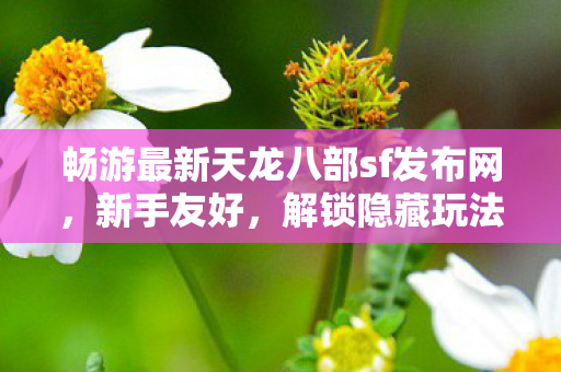 畅游最新天龙八部sf发布网图片