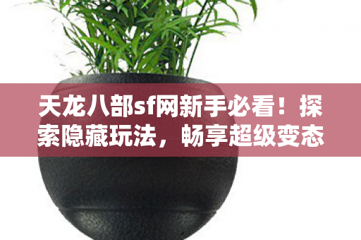 畅享超级变态服的极致体验天龙私服图片