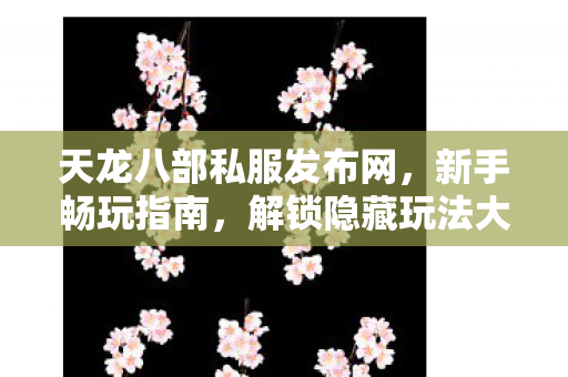 天龙八部私服发布网图片