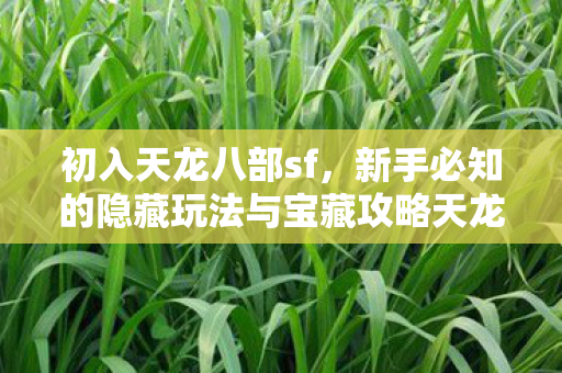新手必知的隐藏玩法与宝藏攻略天龙私服图片