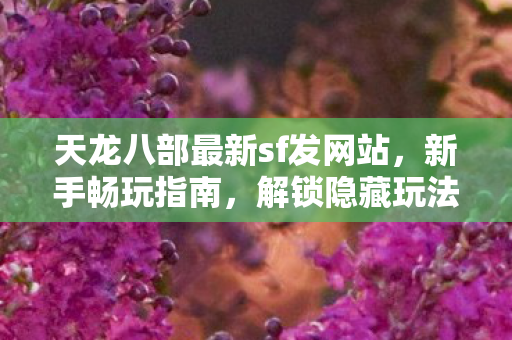 解锁隐藏玩法天龙八部私服图片