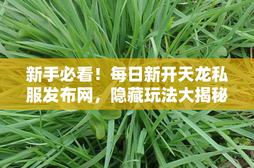 轻松畅玩天龙八部天龙八部私服图片