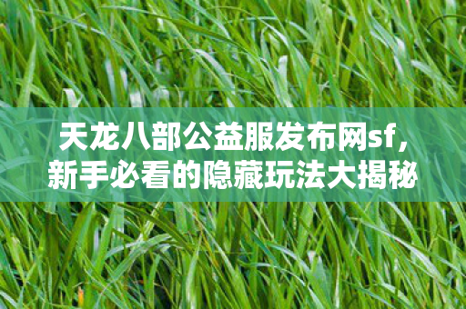 天龙八部公益服发布网sf图片