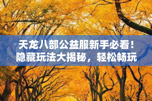 轻松畅玩江湖天龙八部私服图片