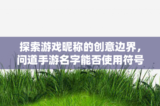 问道手游名字能否使用符号图片