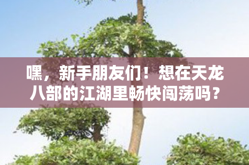 想在天龙八部的江湖里畅快闯荡吗图片